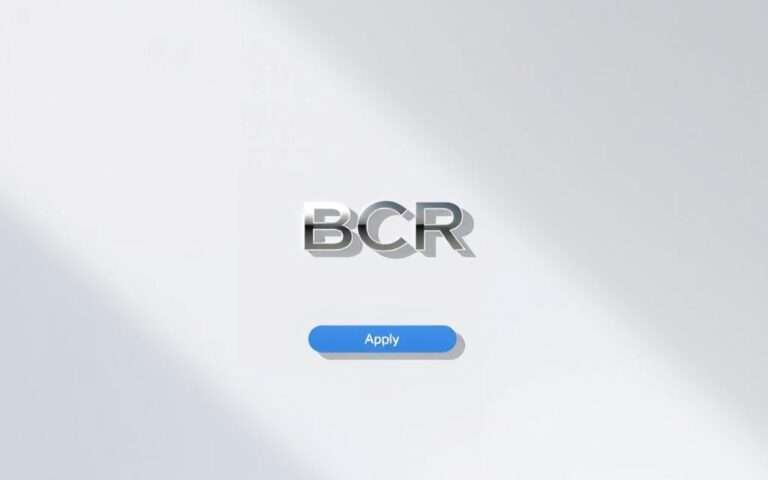 aplicare credit BCR